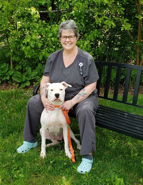 north penn animal hospital|dr meredith brown vet.